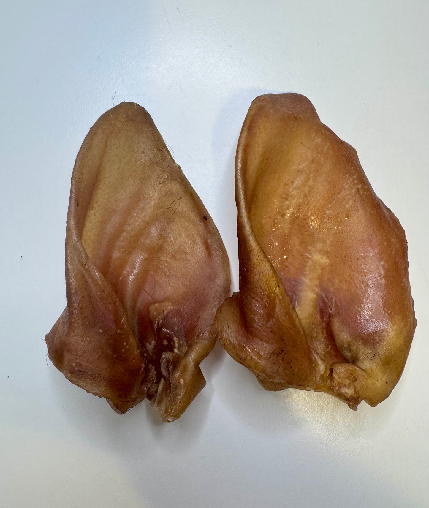 Furry Wild Boar Ears (3 Pack)