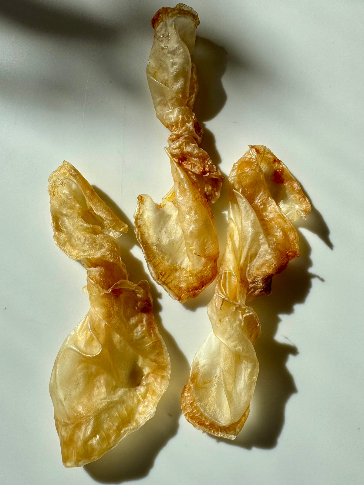 Fish Maw Bowties (2lb Bulk Bag)