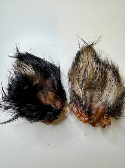 Furry Wild Boar Ears